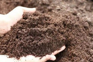 Regenerate your soil with Sunnyvale regenerative agriculture management in CA near 94087