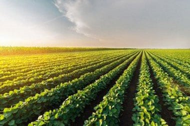 Lancaster regenerative farm options in CA near 93535