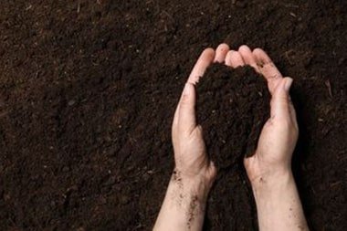 Bakersfield regenerative farming practices in CA near 93309
