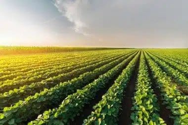 Santa Clara regenerative agriculture solutions in CA near 95051
