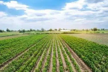 Let us help with Downey regenerative farm practices in CA near 90242