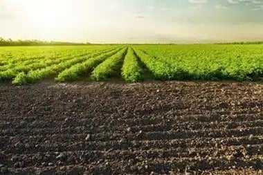 Let us help with Menifee regenerative farm practices in CA near 92584