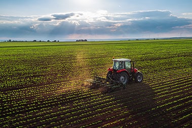 Fort Worth gypsum bags for continuous soil health in TX near 76006