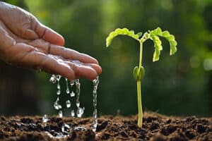 Improve Soil Moisture Retention-Wheatland-WY