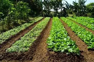 Regenerate your soil with Delta regenerative agriculture management in UT near 84624