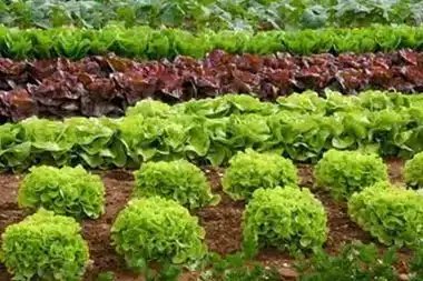 Escondido regenerative agriculture specialists in CA near 92025