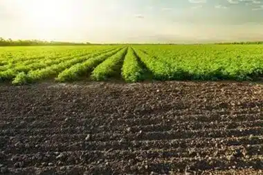 Simi Valley regenerative agriculture techniques techniques in CA near 93065