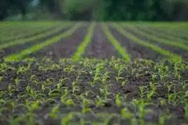 Paragonah Regenerative Farm Help reverse climate change with your Paragonah regenerative farm in UT near 84760