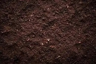 Pleasant Grove Regenerative Farming Pleasant Grove regenerative farming products in UT near 84062