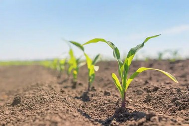 Elko Conditioning for Soil Elko conditioning for soil solutions in NV near 89801