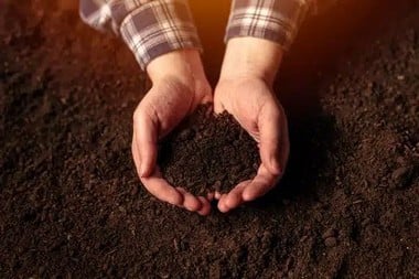 Moapa Conditioning for Soil Learn more about Moapa conditioning for soil in NV near 89025