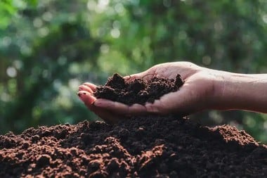 Paragonah Conditioning for Soil Learn more about Paragonah conditioning for soil in UT near 84760