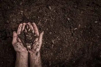 Corona Soil Conditioner Premium Corona soil conditioner in CA near 92877