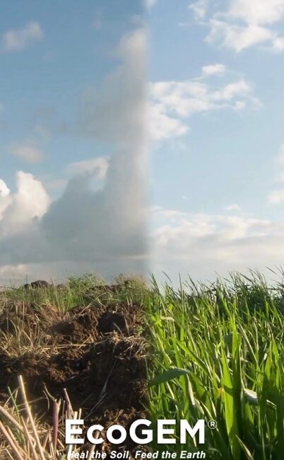 Tackling Water Runoff: EcoGEM's Innovative Solution for Environmental Protection 1