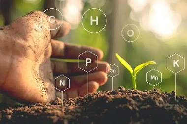 Fort Collins salt level in soil solutions in CO near 80625