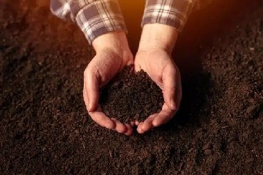 Littleton Salt in Soil Learn more about Littleton salt in soil in CO near 80120