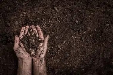 Englewood Clay Soil Englewood clay soil remedies solutions in CO near 80113