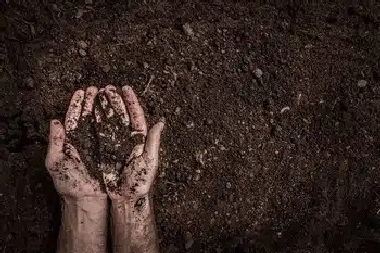 Montrose Clay Soil Montrose clay soil remedies in CO near 81401