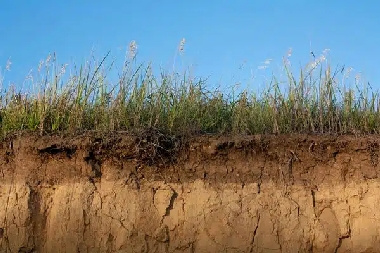 Boulder Clay in Soil Boulder clay in soil remedies available in CO near 80304