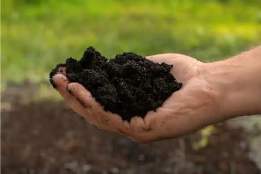 Clay in Soil -Hermiston-OR