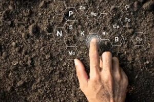 Colorado Springs Clay in Soil Colorado Springs clay in soil remedies available in CO near 80829