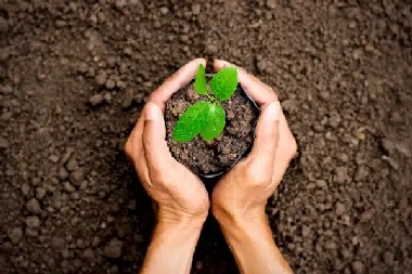 We offer products to reduce Wellington clay in soil in CO near 80549