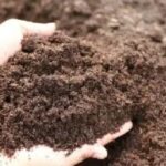 Soil Care For Moisture Retention-Wheatland-WY