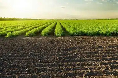 Maintain Rawlins soil moisture levels in WY near 82301