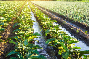 Irrigation Water Use-Gillette-WY