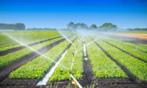 Irrigation and Gypsum-Gillette-WY