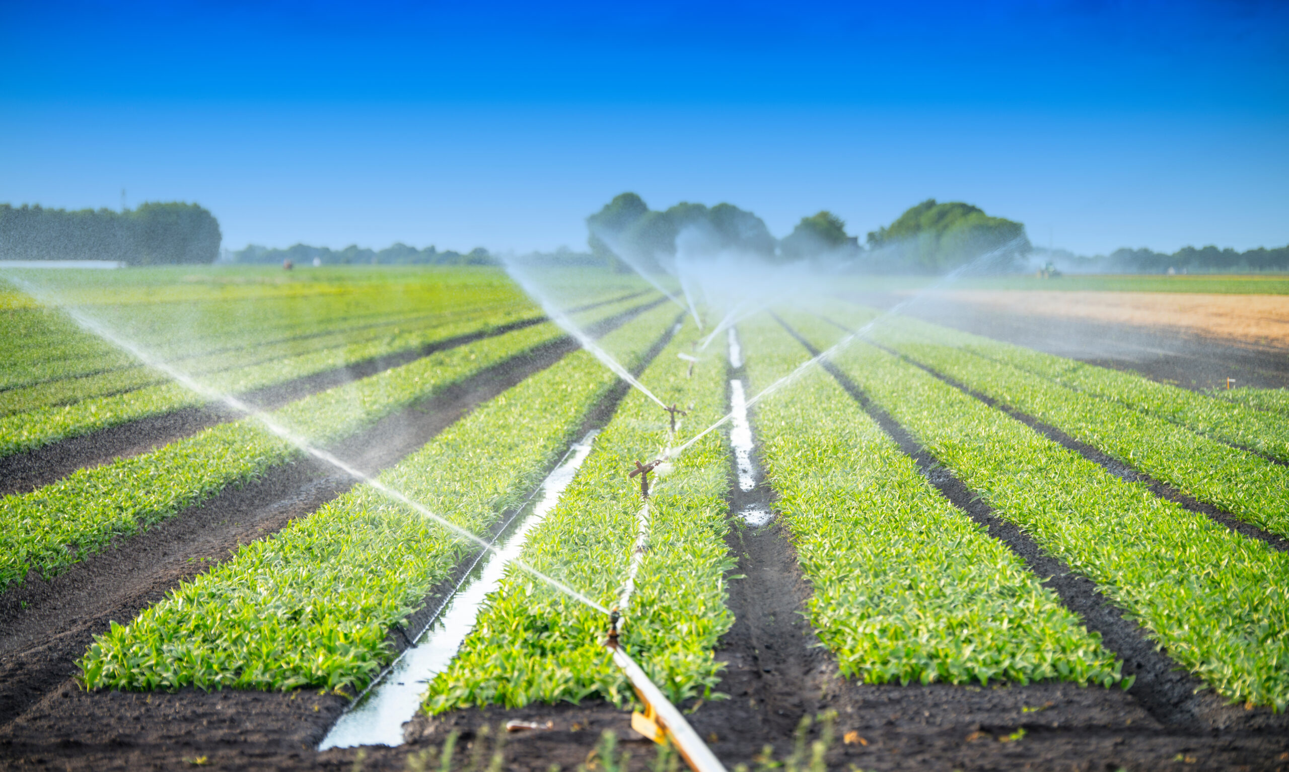 Soil Health During Drought-Wheatland-WY