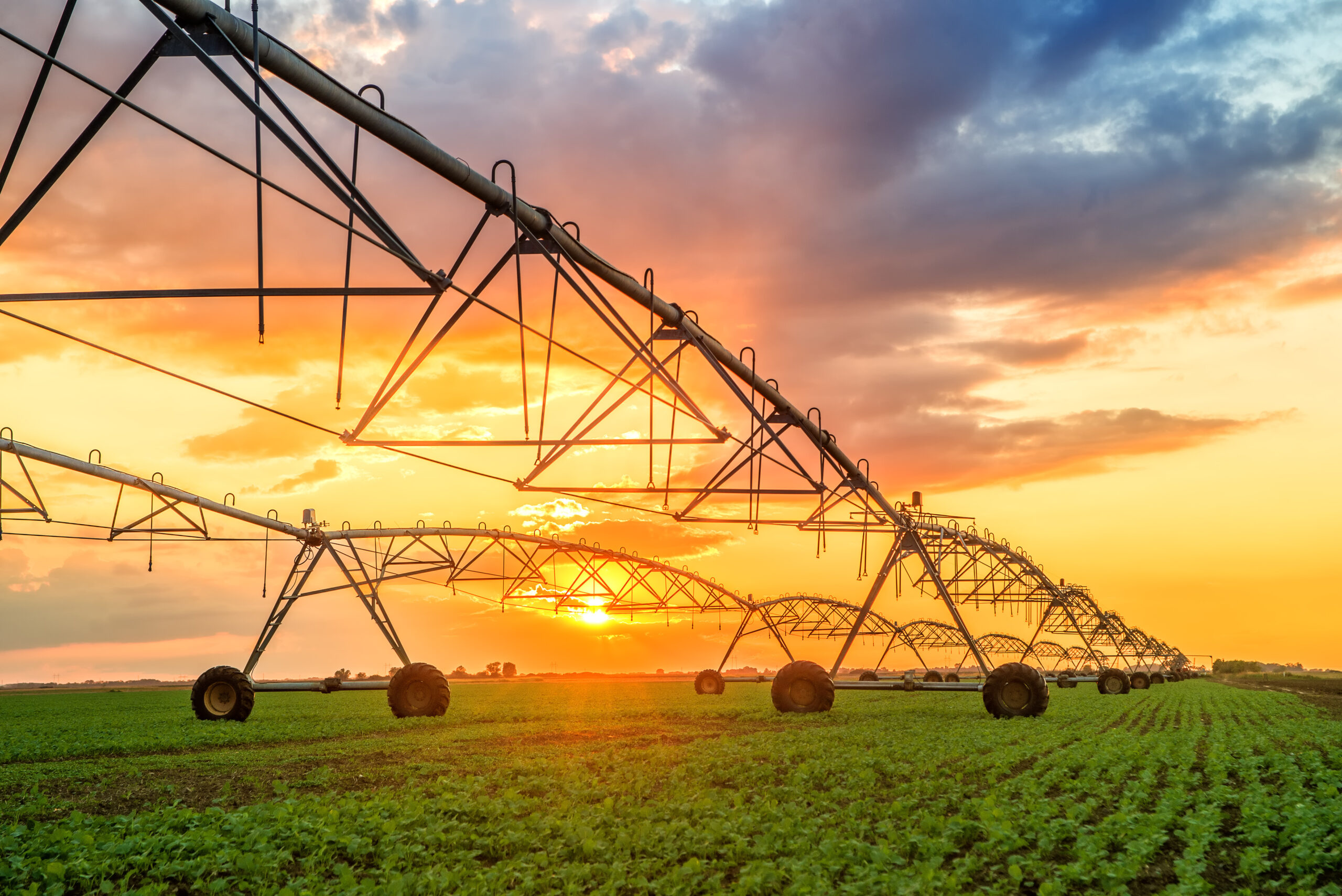 Drought-Resistant Soil Solutions-Wheatland-WY