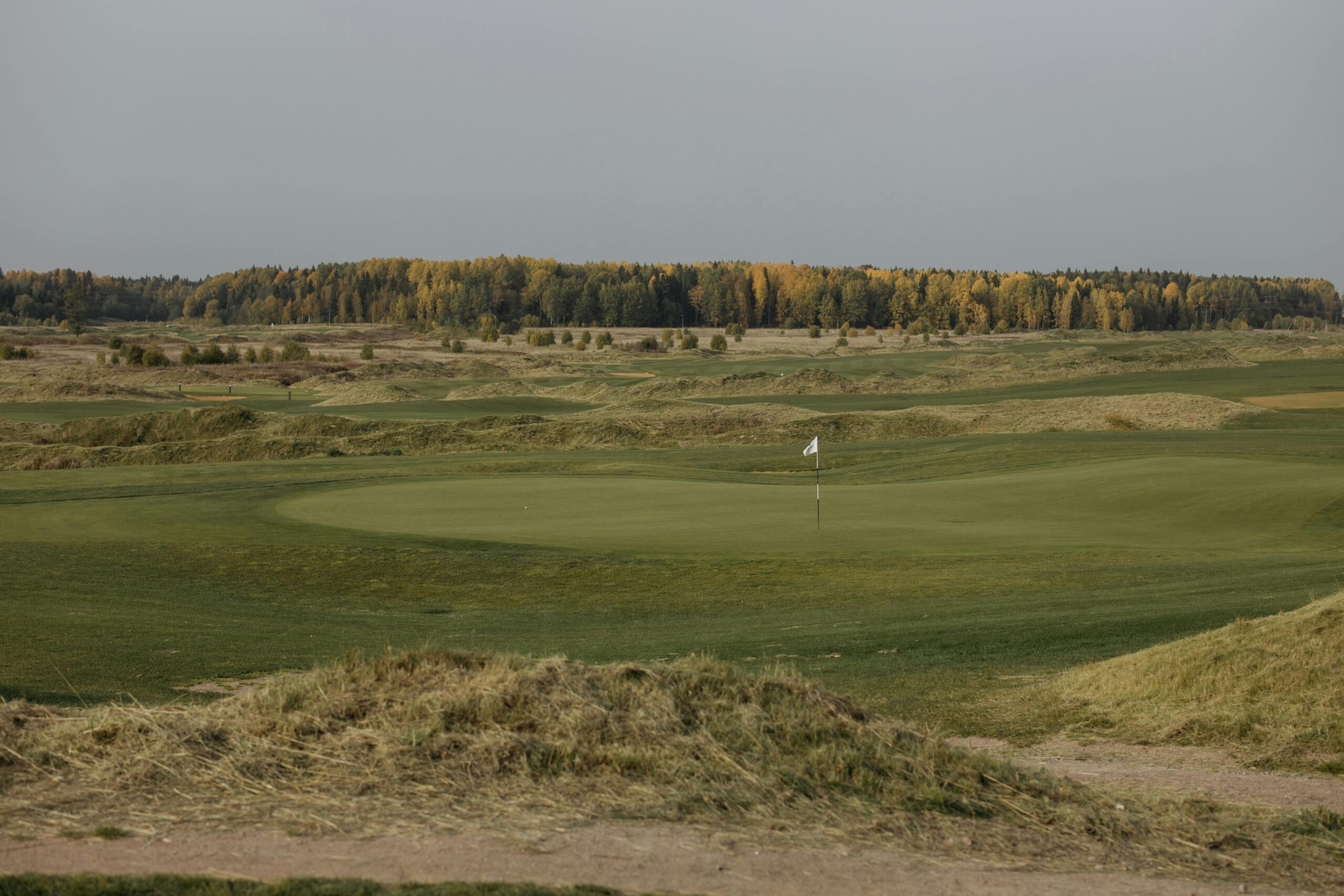 Bermuda Dunes Salt Remediation For Golf Courses
