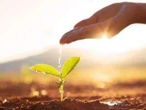 Flagstaff Water Savings