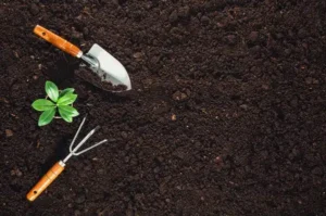 Logan Soil Moisture
