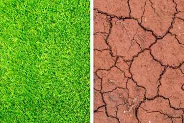3 Field-Turf-Management