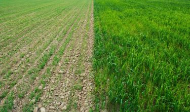 Beverage-Industry-Sustainability