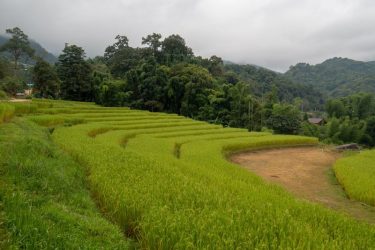 International-Farming