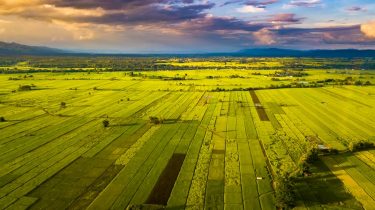 Agriculture-Carbon-Capture