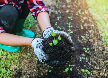 Soil Health Improvements