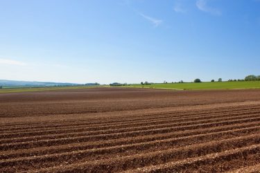 World-Agriculture